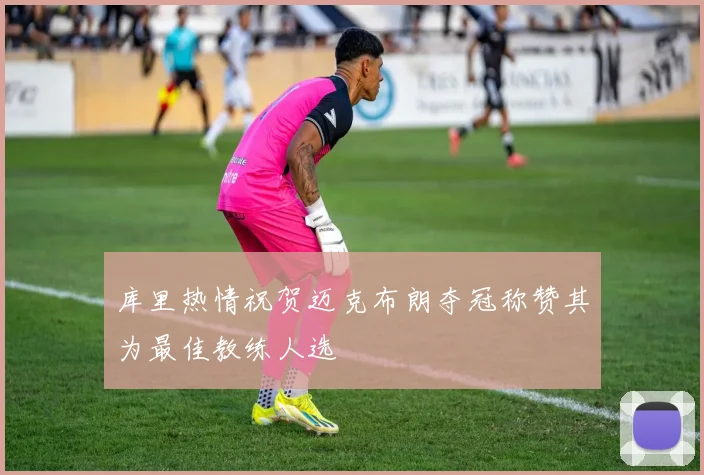 库里热情祝贺迈克布朗夺冠称赞其为最佳教练人选