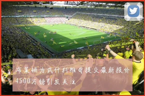 布莱顿为武什科维奇提交最新报价4500万镑引发关注